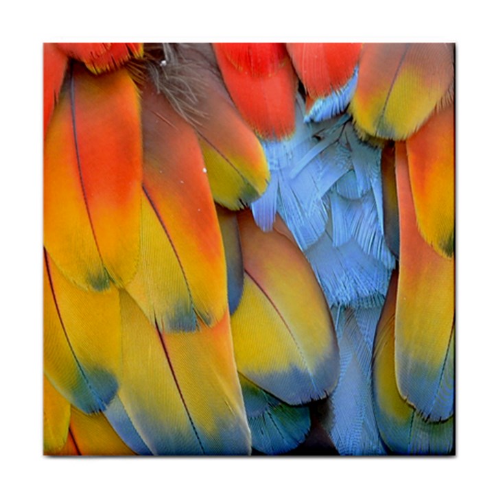 Spring Parrot Parrot Feathers Ara Face Towel