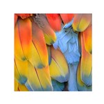 Spring Parrot Parrot Feathers Ara Small Satin Scarf (Square) Front