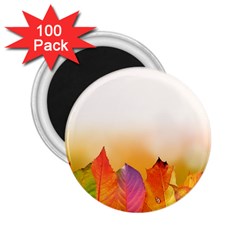 Autumn Leaves Colorful Fall Foliage 2 25  Magnets (100 Pack)  by Nexatart