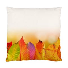 Autumn Leaves Colorful Fall Foliage Standard Cushion Case (one Side) by Nexatart