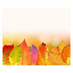 Autumn Leaves Colorful Fall Foliage Double Sided Flano Blanket (small)  by Nexatart