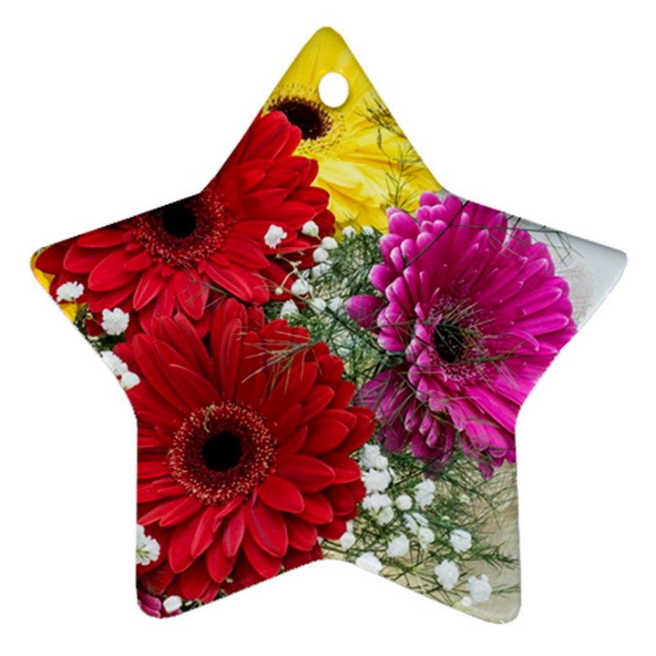 Flowers Gerbera Floral Spring Star Ornament (Two Sides)