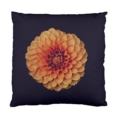 Art Beautiful Bloom Blossom Bright Standard Cushion Case (one Side) by Nexatart