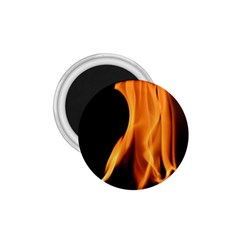 Fire Flame Pillar Of Fire Heat 1 75  Magnets by Nexatart