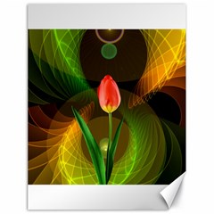 Tulip Flower Background Nebulous Canvas 18  X 24   by Nexatart