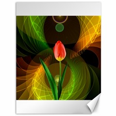 Tulip Flower Background Nebulous Canvas 36  X 48  