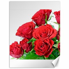 A Bouquet Of Roses On A White Background Canvas 36  X 48   by Nexatart