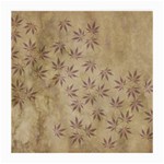 Parchment Paper Old Leaves Leaf Medium Glasses Cloth Front