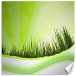 Green Background Wallpaper Texture Canvas 12  x 12   11.4 x11.56  Canvas - 1