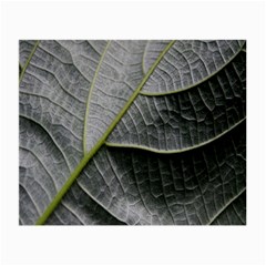 Leaf Detail Macro Of A Leaf Small Glasses Cloth (2-side) by Nexatart