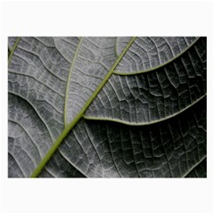 Leaf Detail Macro Of A Leaf Large Glasses Cloth (2-side) by Nexatart