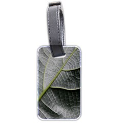 Leaf Detail Macro Of A Leaf Luggage Tags (two Sides) by Nexatart