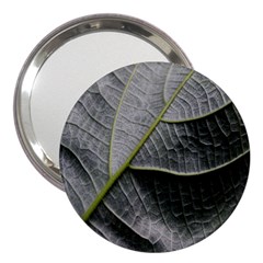 Leaf Detail Macro Of A Leaf 3  Handbag Mirrors by Nexatart