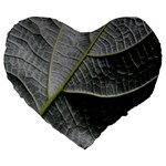 Leaf Detail Macro Of A Leaf Large 19  Premium Flano Heart Shape Cushions Front