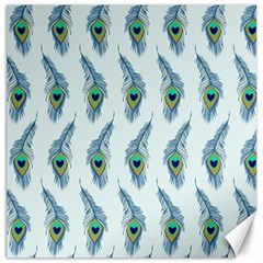 Background Of Beautiful Peacock Feathers Canvas 12  X 12   by Nexatart