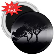 Sunset 3  Magnets (100 pack)