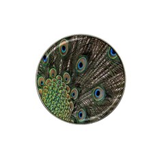 Close Up Of Peacock Feathers Hat Clip Ball Marker (10 Pack) by Nexatart
