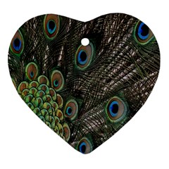 Close Up Of Peacock Feathers Heart Ornament (two Sides) by Nexatart