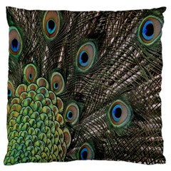 Close Up Of Peacock Feathers Large Cushion Case (one Side) by Nexatart