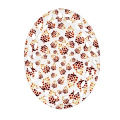 Pine Cones Pattern Ornament (oval Filigree) by Mariart
