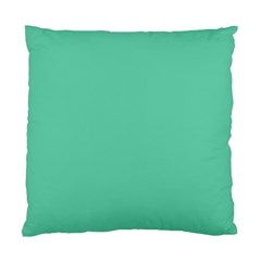 Aquamarine Solid Color  Standard Cushion Case (Two Sides)