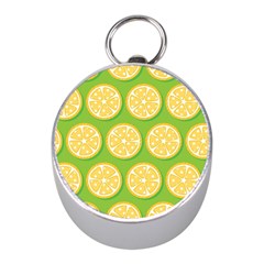 Lime Orange Yellow Green Fruit Mini Silver Compasses
