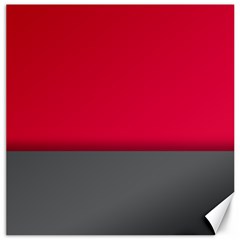 Red Gray Flag Line Horizontal Canvas 20  X 20   by Mariart