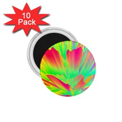 Screen Random Images Shadow Green Yellow Rainbow Light 1 75  Magnets (10 Pack)  by Mariart