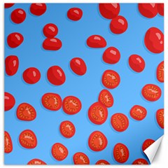 Tomatoes Fruite Slice Red Canvas 20  X 20  