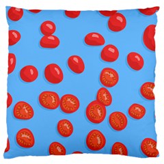 Tomatoes Fruite Slice Red Large Cushion Case (two Sides) by Mariart