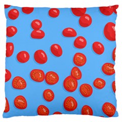 Tomatoes Fruite Slice Red Standard Flano Cushion Case (one Side) by Mariart