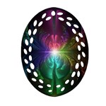 Anodized Rainbow Eyes And Metallic Fractal Flares Ornament (Oval Filigree) Front