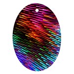 Rainbow Shake Light Line Ornament (Oval) Front