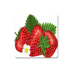 Strawberry Red Seed Leaf Green Square Magnet by Mariart