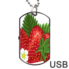 Strawberry Red Seed Leaf Green Dog Tag Usb Flash (two Sides)