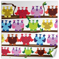 Funny Owls Sitting On A Branch Pattern Postcard Rainbow Canvas 20  X 20  