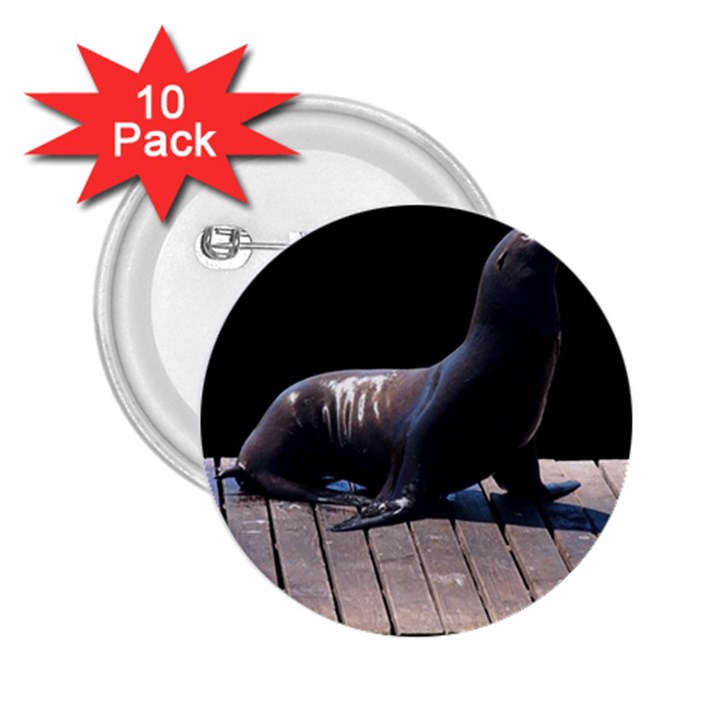 Seal on Deck 2.25  Button (10 pack)