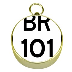 Brazil Br-101 Transcoastal Highway  Gold Compasses by abbeyz71