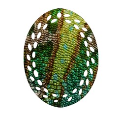 Chameleon Skin Texture Oval Filigree Ornament (two Sides)