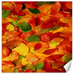 Leaves Texture Canvas 12  X 12   by BangZart