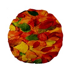 Leaves Texture Standard 15  Premium Round Cushions