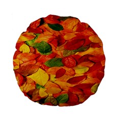 Leaves Texture Standard 15  Premium Flano Round Cushions