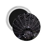 Spider Web Wallpaper 14 2.25  Magnets Front