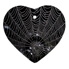 Spider Web Wallpaper 14 Ornament (heart) by BangZart