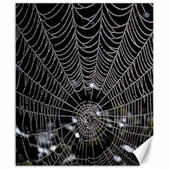Spider Web Wallpaper 14 Canvas 20  X 24  
