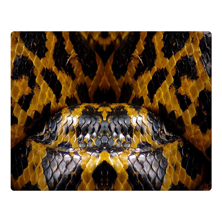 Textures Snake Skin Patterns Double Sided Flano Blanket (Large) 