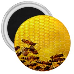 Sweden Honey 3  Magnets