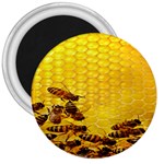 Sweden Honey 3  Magnets Front