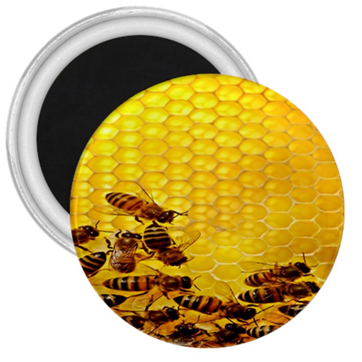Sweden Honey 3  Magnets