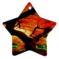 Maple Tree Nice Ornament (star) by BangZart